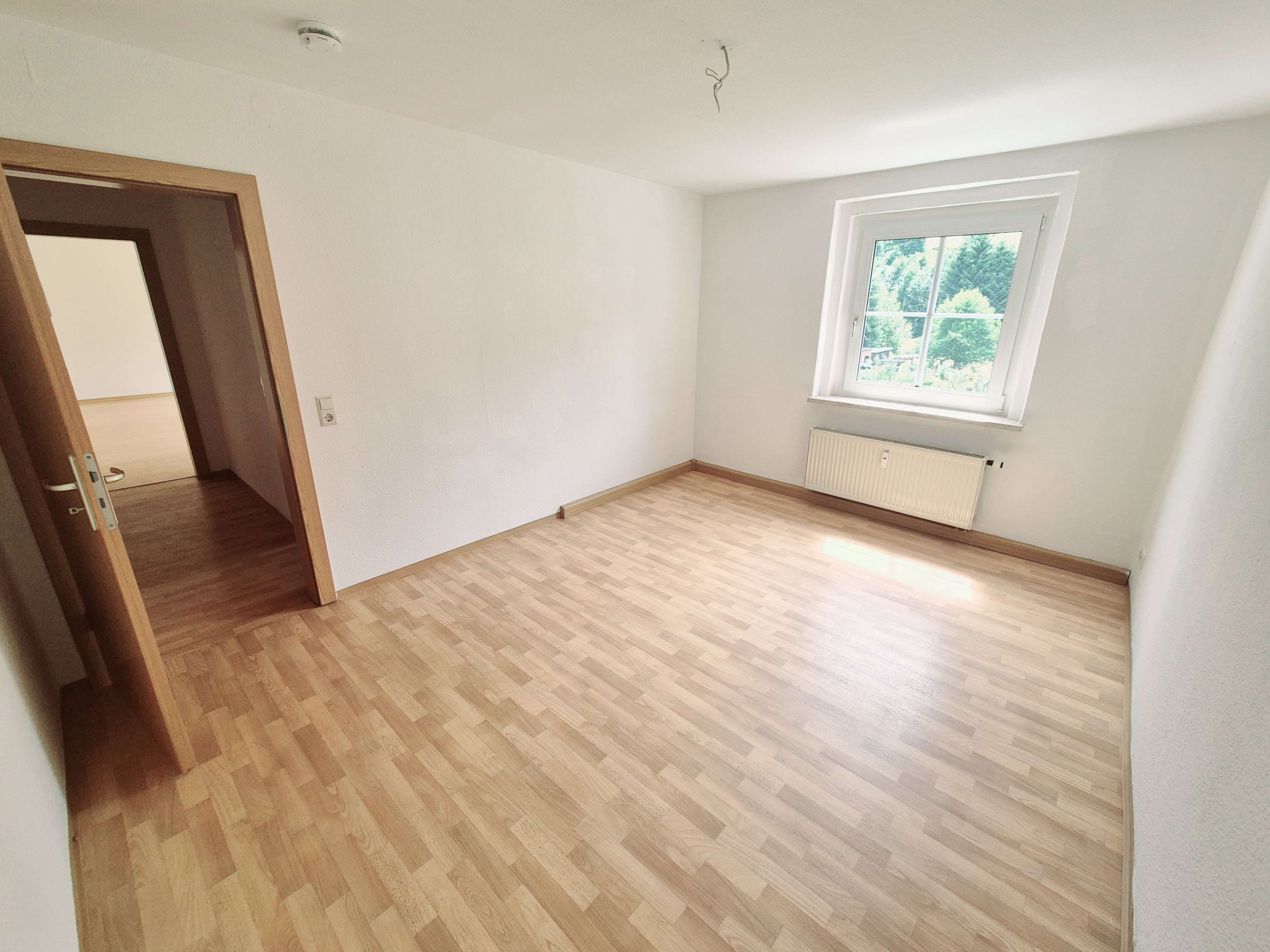 Großzügige 2-Raum-Wohnung mit Blick ins Grüne im Erdgeschoss + ausgebaute Kammer! in Klingenthal