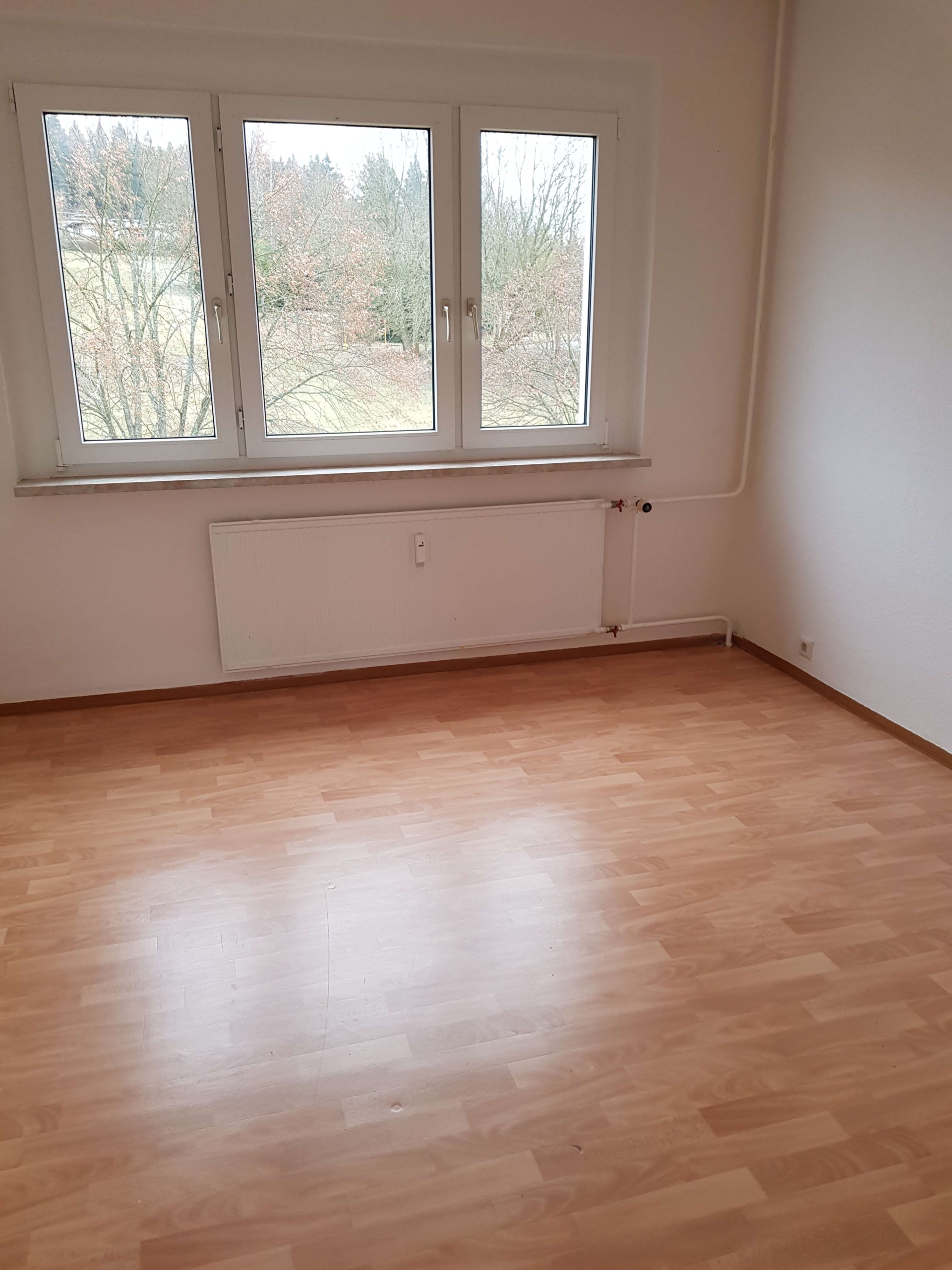 Günstige 3-Raum-Wohnung mit Traum-Ausblick und Balkon! in Klingenthal