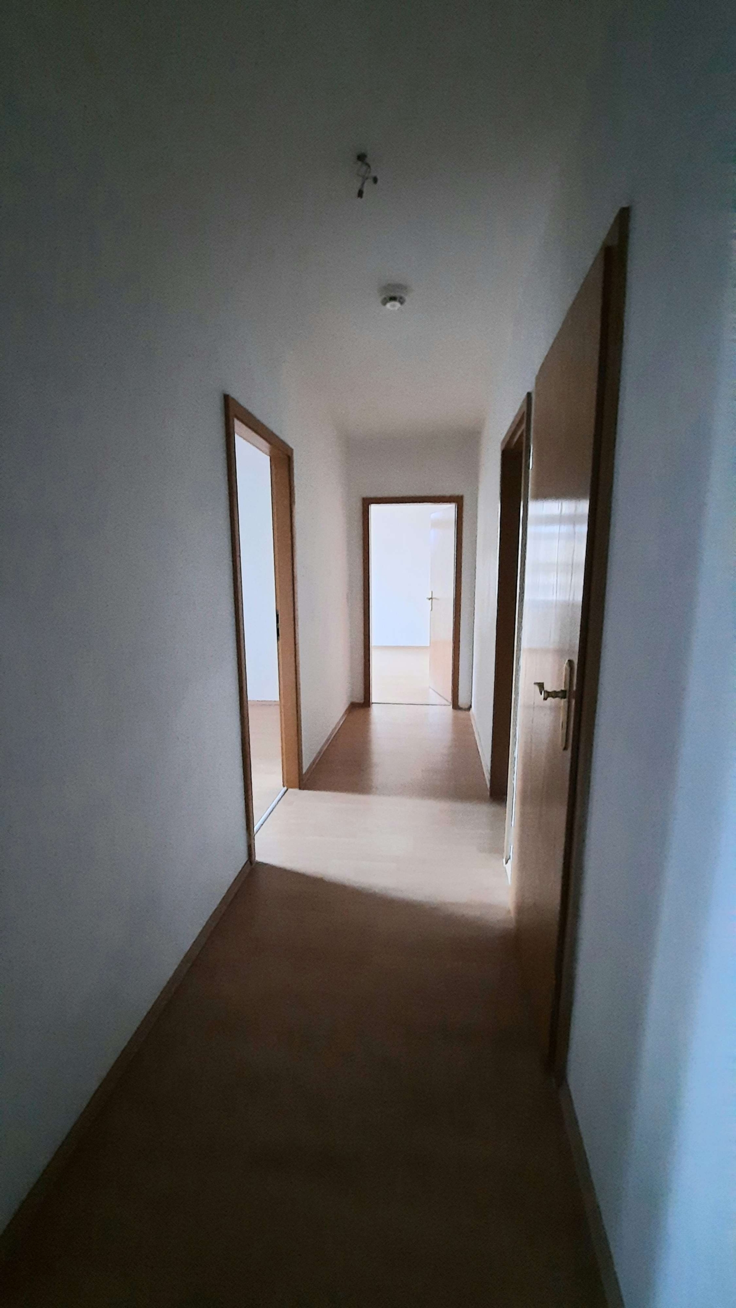 1Monat kaltmietfrei - Schnell zugreifen* Schöne helle 2 RaumWE mit Badewanne in Glauchau