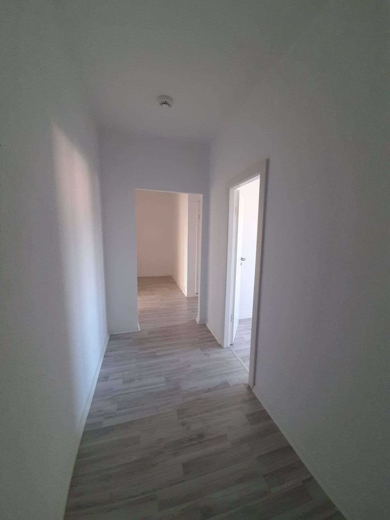 Großzügige 2-RaumWE mit Balkon, Badewanne und EBK in Chemnitz