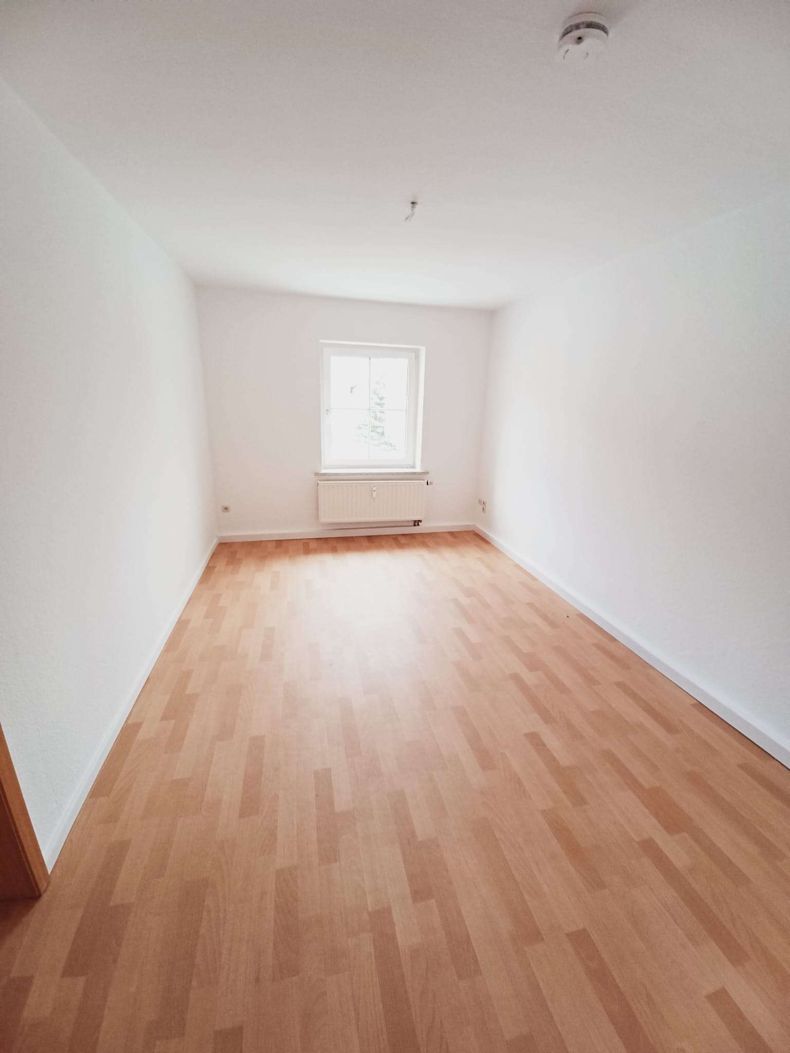 Tolle 2-Raum-Wohnung, hell und freundlich in ruhiger Lage! in Klingenthal