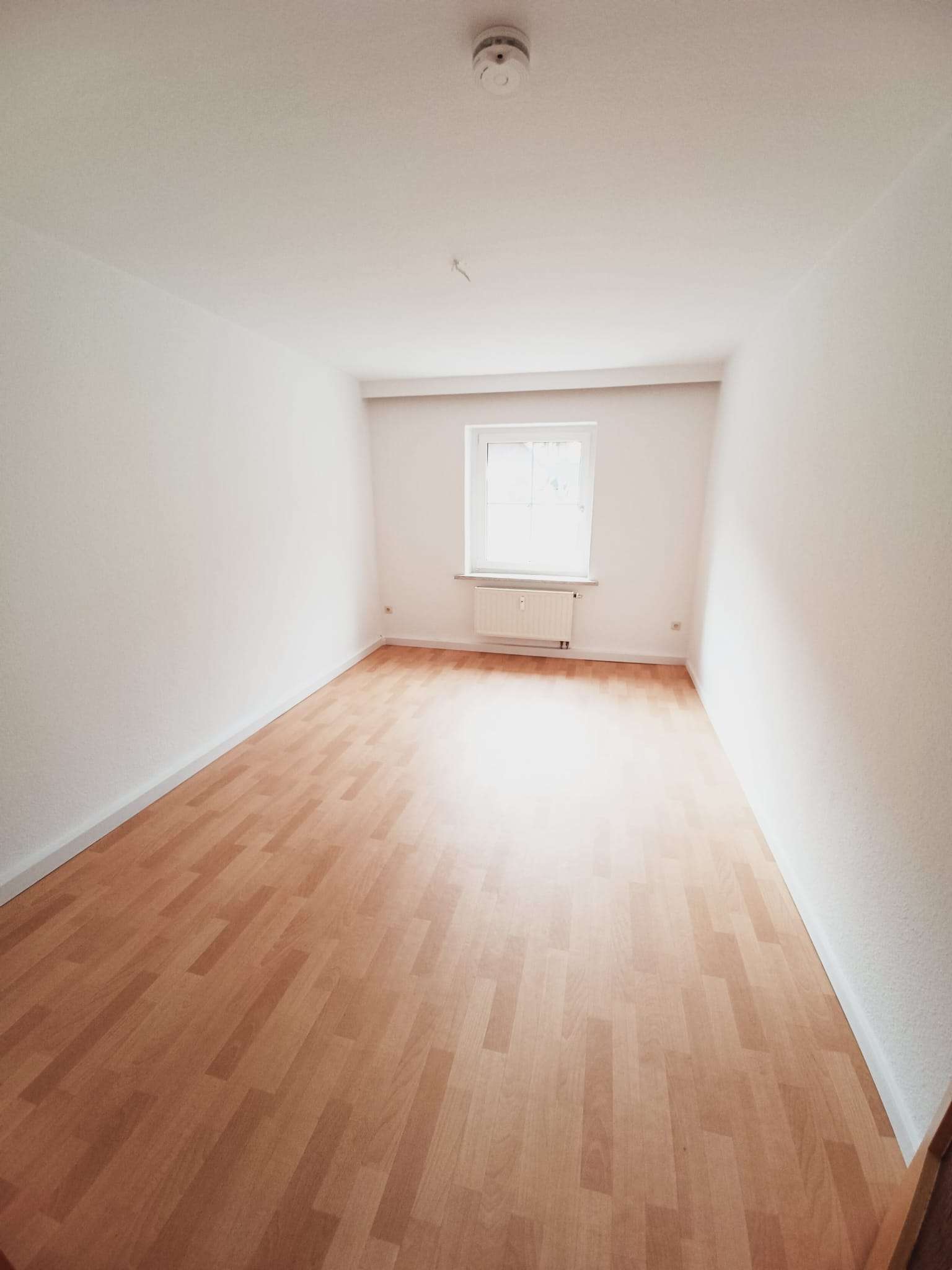 Tolle 2-Raum-Wohnung, hell und freundlich in ruhiger Lage! in Klingenthal