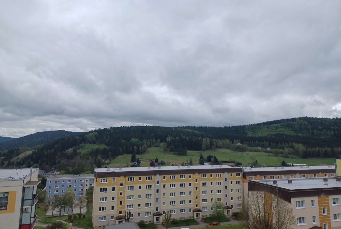 Frisch sanierte 4-Raum-Wohnung mit XXL-Balkon und TOP-Aussicht! in Klingenthal