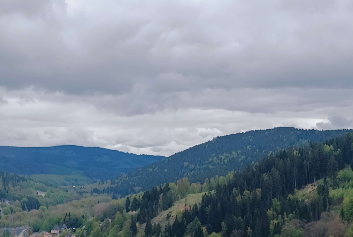 4-Raum-Wohnung mit Balkon im 3.OG, frisch saniert mit Traum-Ausblick! Jetzt besichtigen! in Klingenthal